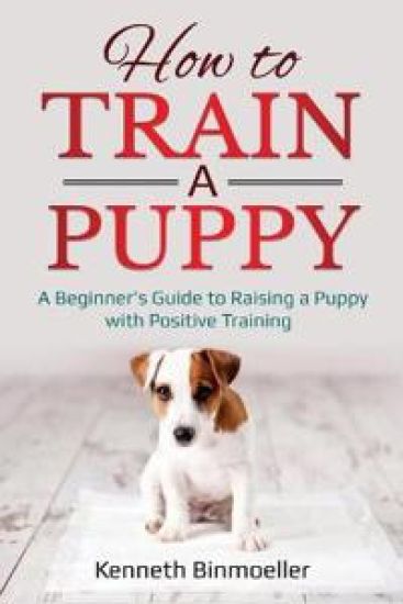 How to Train a Puppy