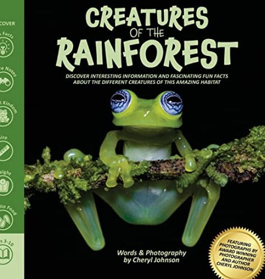Amazing Creatures of the Rainforest: Rainforest picture book for kids with fun interesting information and fascinating facts