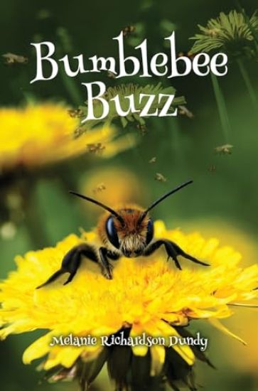 Bumblebee Buzz