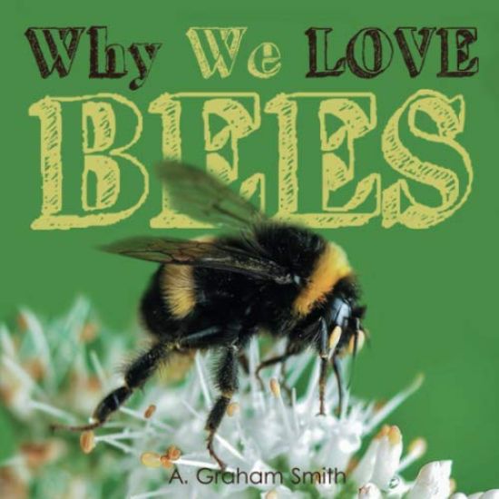 Why We Love.. BEES