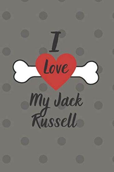 I love my Jack Russell