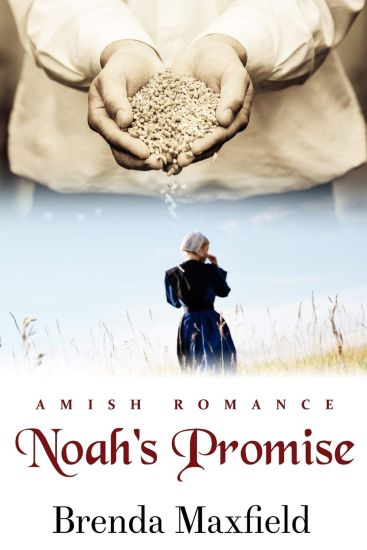 Noah's Promise