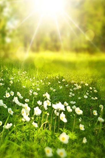 Spring: Spring Is One of the Four Conventional Temperate Seasons, Following Winter and Preceding Summer. There Are Various Tec