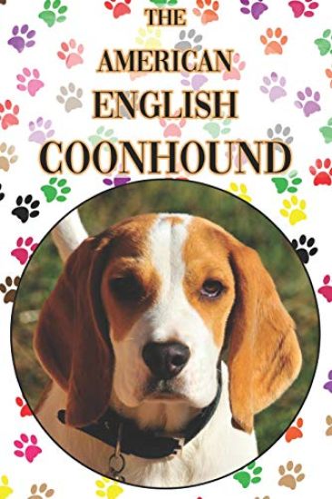 The American English Coonhound: A Complete and Comprehensive Beginners Guide To: Buying, Owning, Health, Grooming, Training, Obedience, Understanding