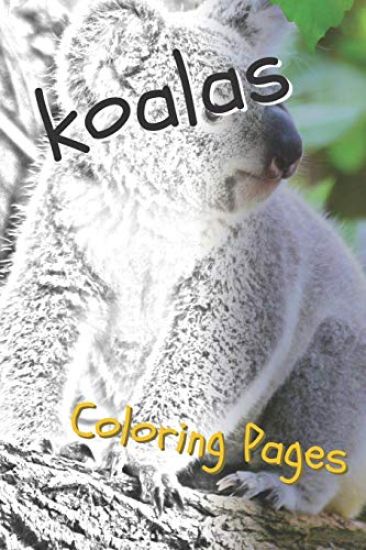 Koala Coloring Pages: Beautiful Drawings for Adults Relaxation and for Kids