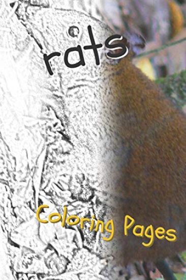 Rat Coloring Pages: Beautiful Rats Drawings for Kids and for Adults Relaxation