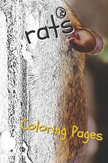 Rat Coloring Pages: Beautiful Rats Drawings for Kids and for Adults Relaxation