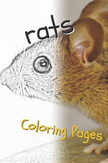 Rat Coloring Pages: Beautiful Rats Drawings for Kids and for Adults Relaxation