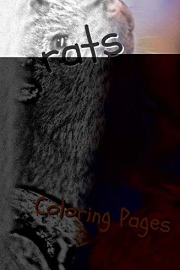 Rat Coloring Pages: Beautiful Rats Drawings for Kids and for Adults Relaxation