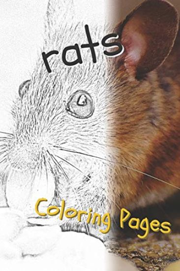 Rat Coloring Pages: Beautiful Rats Drawings for Kids and for Adults Relaxation
