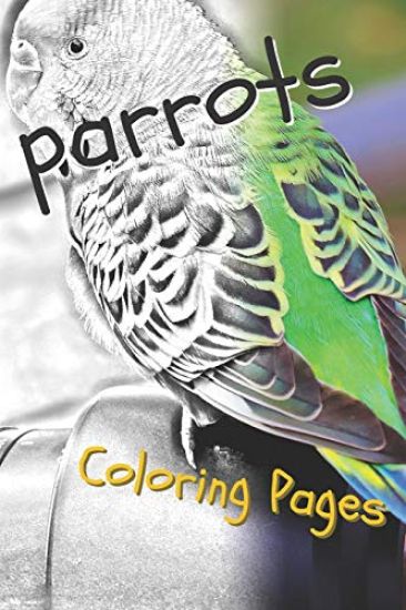 Parrot Coloring Pages: Beautiful Parrots Drawings for Kids and for Adults Relaxation