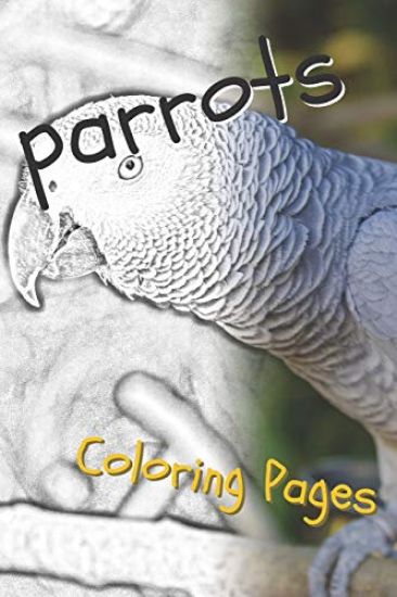 Parrot Coloring Pages: Beautiful Parrots Drawings for Kids and for Adults Relaxation