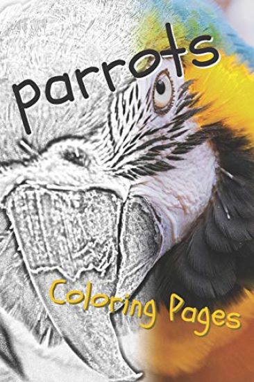 Parrot Coloring Pages: Beautiful Parrots Drawings for Kids and for Adults Relaxation