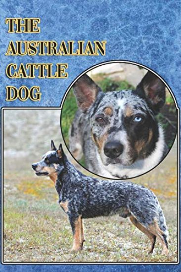 The Australian Cattle Dog: A Complete and Comprehensive Beginners Guide To: Buying, Owning, Health, Grooming, Training, Obedience, Understanding
