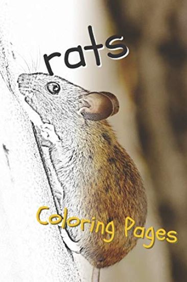 Rat Coloring Pages: Beautiful Rats Drawings for Kids and for Adults Relaxation