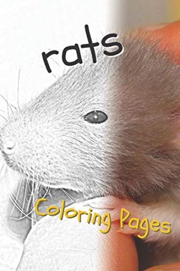 Rat Coloring Pages: Beautiful Rats Drawings for Kids and for Adults Relaxation
