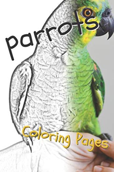 Parrot Coloring Pages: Beautiful Parrots Drawings for Kids and for Adults Relaxation