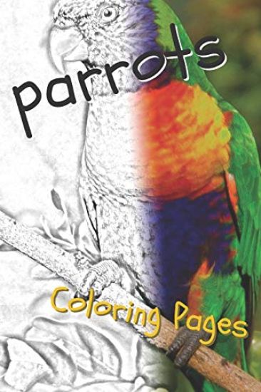 Parrot Coloring Pages: Beautiful Parrots Drawings for Kids and for Adults Relaxation