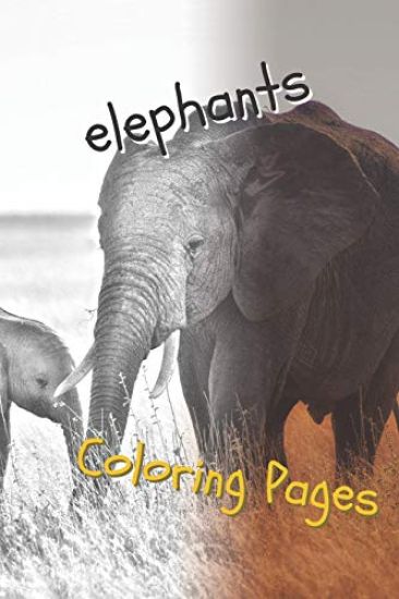 Elephant Coloring Pages: Beautiful Coloring Pages with Animal for Adults and for Kids