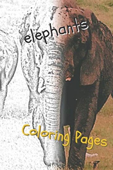 Elephant Coloring Pages: Beautiful Coloring Pages with Animal for Adults and for Kids