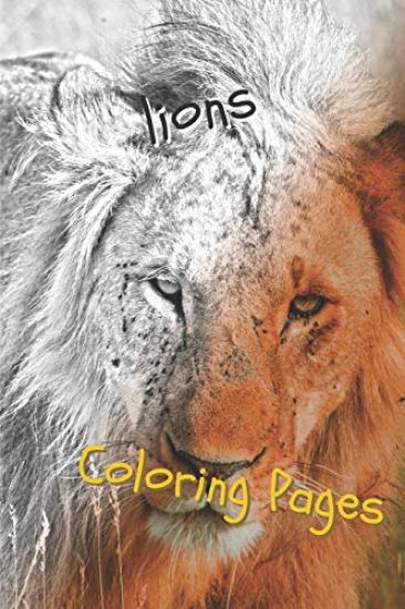 Lions Coloring Pages: Lions Beautiful Drawings for Adults Relaxation