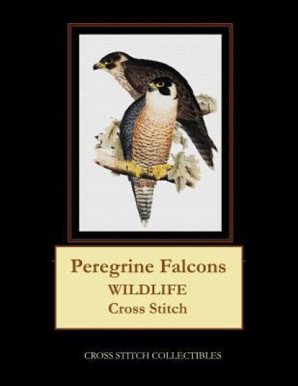 Peregrine Falcons