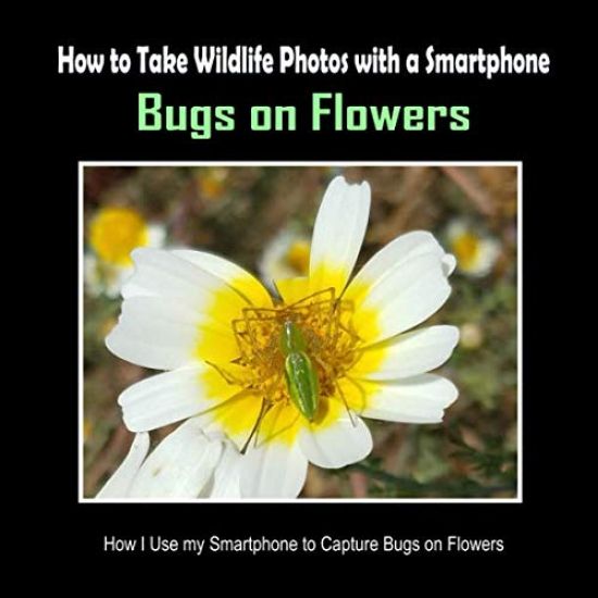 Bugs on Flowers