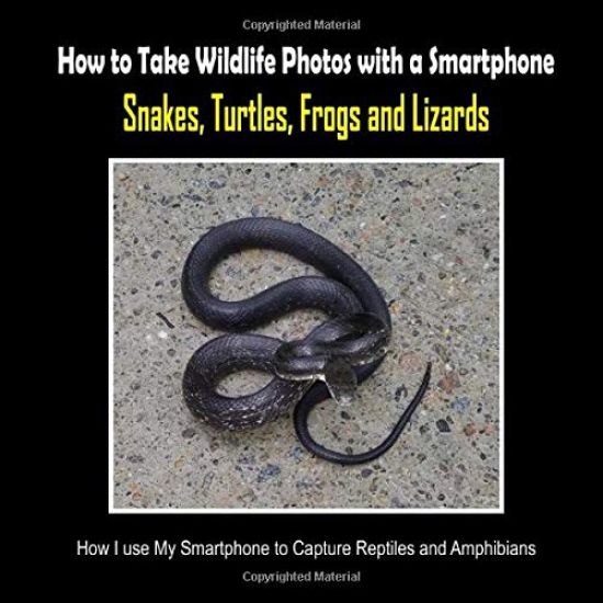 Snakes, Turtles, Frogs and Lizards