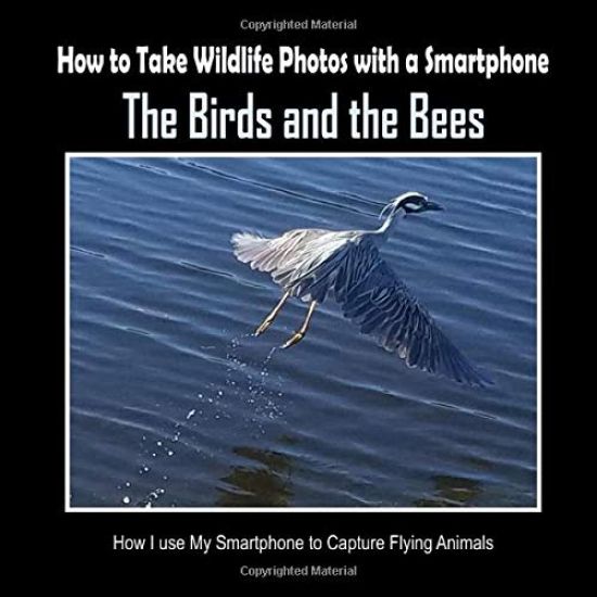 The Birds and the Bees