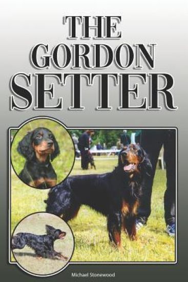 The Gordon Setter: A Complete and Comprehensive Owners Guide To: Buying, Owning, Health, Grooming, Training, Obedience, Understanding and
