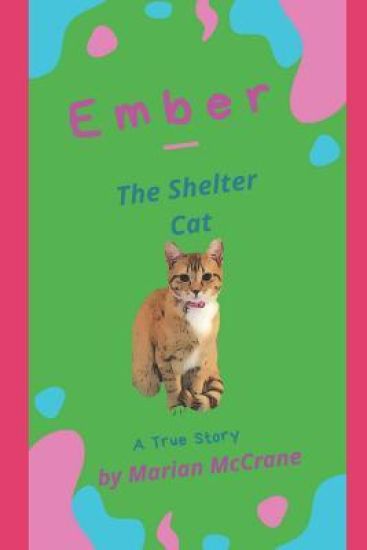 Ember: The Shelter Cat