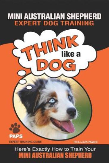 MINI AUSTRALIAN SHEPHERD Expert Dog Training