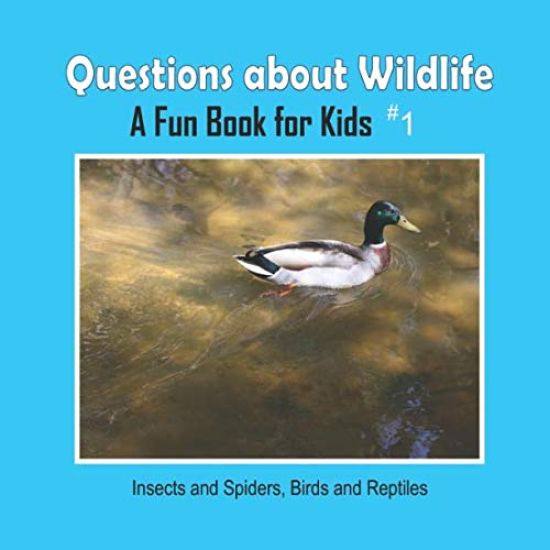 Questions about Wildlife