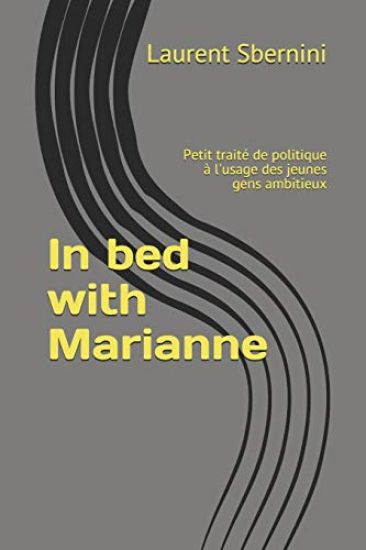 In bed with Marianne: Petit traité de politique à l'usage des jeunes gens ambitieux