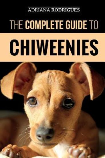 The Complete Guide to Chiweenies