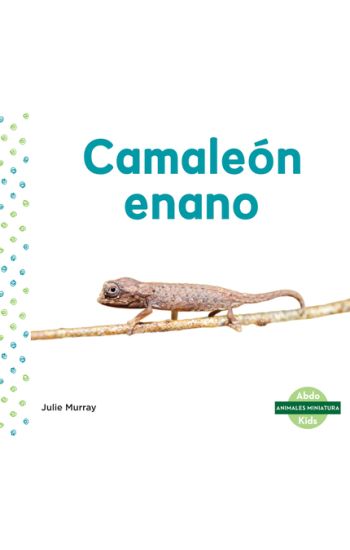 Camaleon Enano (Leaf Chameleon)