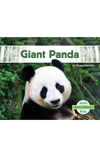 Giant Panda