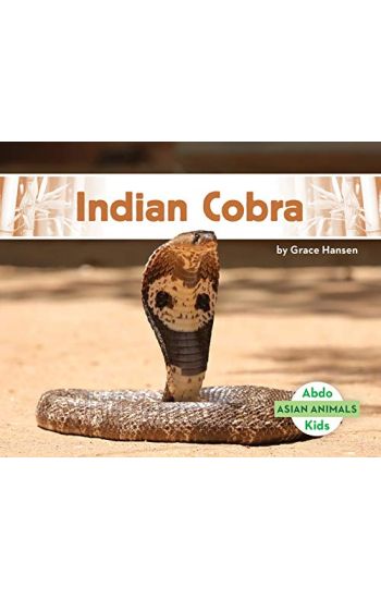 Indian Cobra