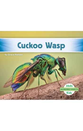 Cuckoo Wasp