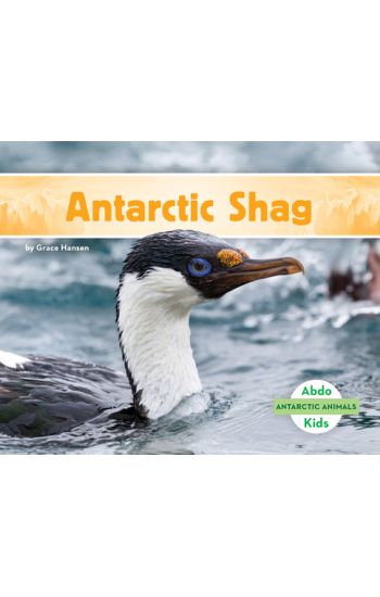 Antarctic Shag