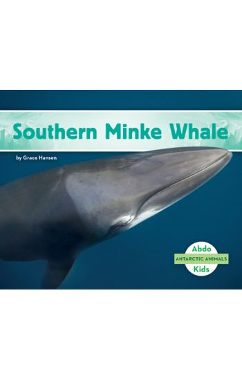 Southern Minke Whale