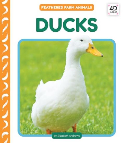Ducks