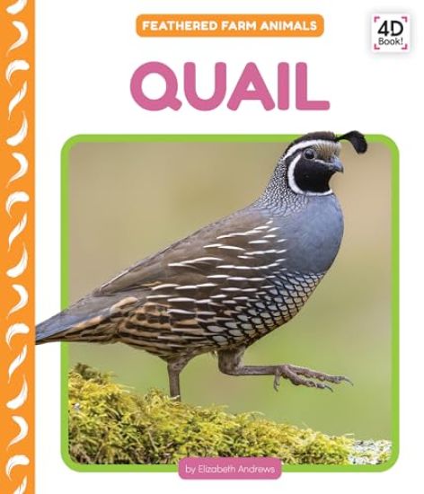 Quail