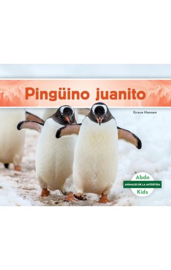 Pinguino Juanito (Gentoo Penguin)