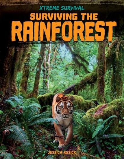 Surviving the Rainforest