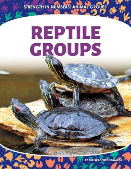Reptile Groups