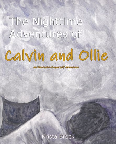 The Nighttime Adventures of Calvin and Ollie: an illustrate-it-yourself adventure