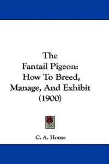 The Fantail Pigeon