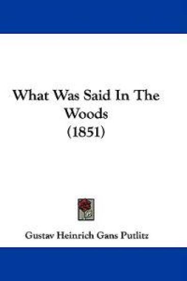 What Was Said in the Woods