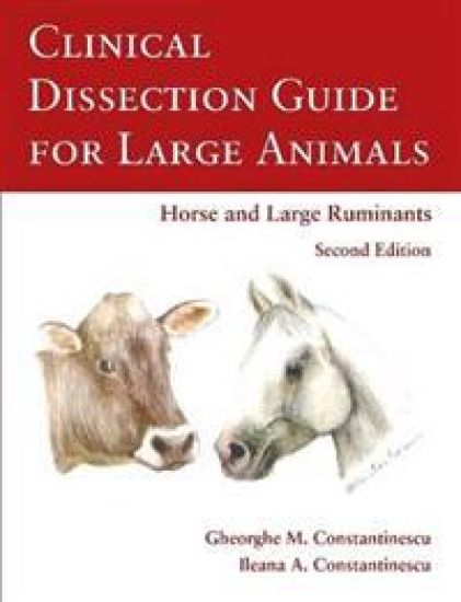 Clinical Dissection Guide for Large Animals